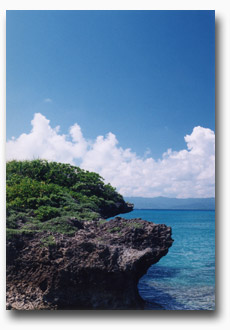 Welcome to murubushi.com